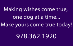 Dog Obedience Training in Billerica, MA 978-362-1920