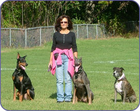 Terry Christie Owner and Dog Trainer Massachusetts