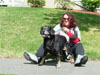 Canine Magic Dob Obedience Training, Massachusetts