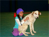 Canine Magic Dob Obedience Training, Massachusetts