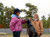 Canine Magic Dob Obedience Training, Massachusetts