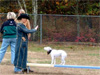 Canine Magic Dob Obedience Training, Massachusetts